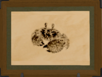 Mitten Crab print.png