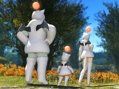 Moogle Attire img3.jpg