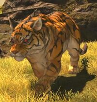 Jungle Tiger.jpg