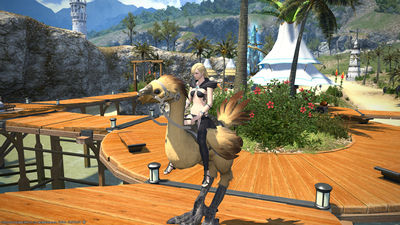 Company chocobo3.jpg