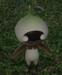 Mandragora.jpg