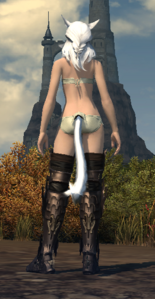 Heavy Allagan Flanchard back.png