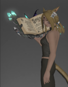 Fae Codex inside.png