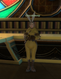 Chocobokeep Race Counter npc.png