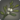 East bank mistletoe icon1.png