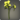 Yellow cattleyas icon1.png