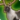 Make it reindeer icon1.png