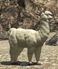 Alpaca (mob).jpg