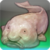 Bf cupfish.png