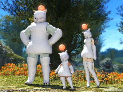 Moogle Attire img2.jpg