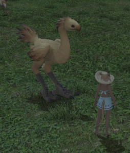 Chocobo (Island Sanctuary).png