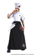 Culinarian stormblood1.png