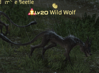 Wild wolf.png