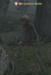 Skeletonnoble.PNG