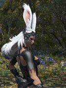 Viera3.jpg