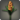 Orange hyacinths icon1.png