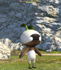 Mandragora Prince.png