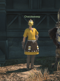 Chocobokeep Liberty Gate npc.png