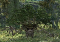 Treant Sapling.jpg