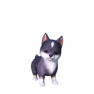 Torgal pup1.png