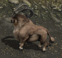 Loaghtan Enemy.png