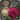 Dahlia bulbs icon1.png