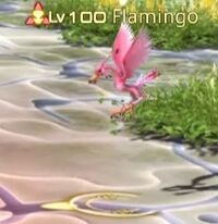 Flamingo.jpg