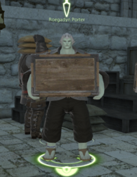 Roegadyn Porter image.png