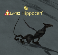 Hippocerf.png