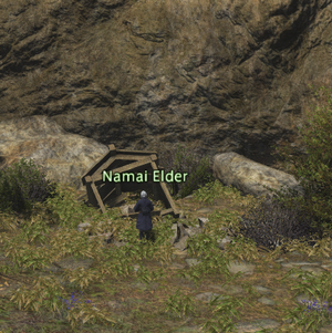 Namai Elder.png