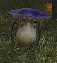 Toadstool walking.jpg